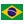 Português do Brasil